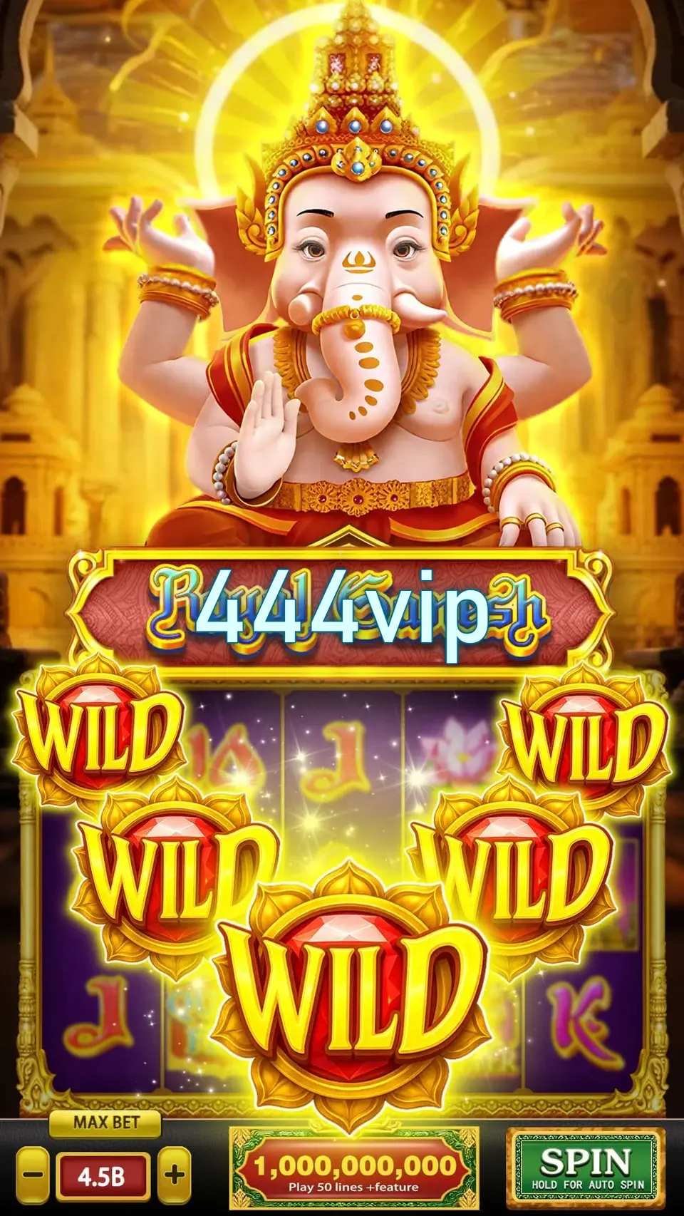 444vip Login